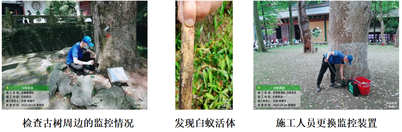 微信截圖_20230518105929.png