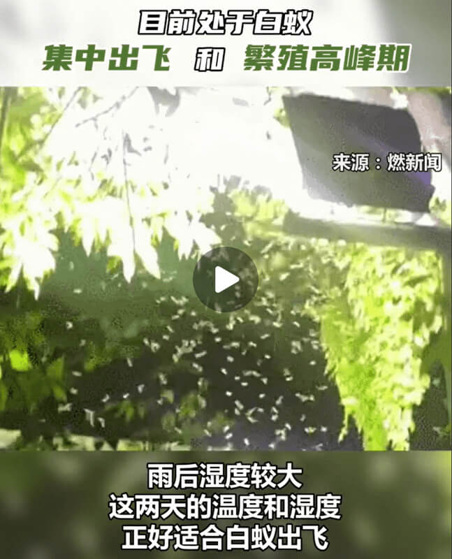 背景.jpg