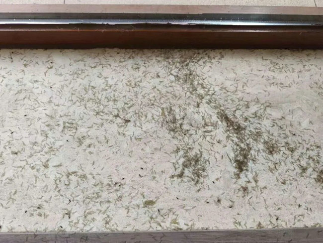 1774257952210836.jpg 640 (1).jpg